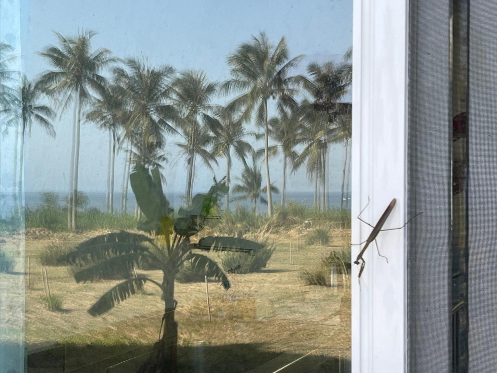 春夏秋冬海景民宿ocean View Motel Chenggong Esterno foto